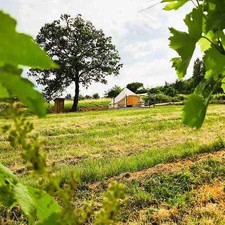 Le Bivouac De La Plante * Saint-Aubin-de-Branne