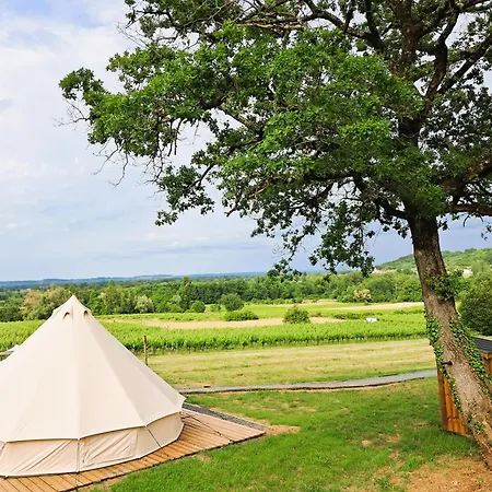 Le Bivouac De La Plante