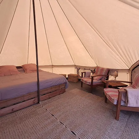 Le Bivouac De La Plante